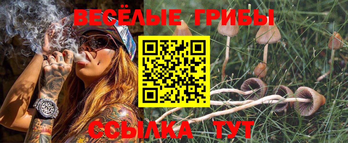 Псилоцибиновые грибы GOLDEN TEACHER Великий Устюг